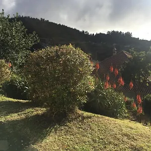 https://bungalows-do-amparo.madeira-islandshotels.com